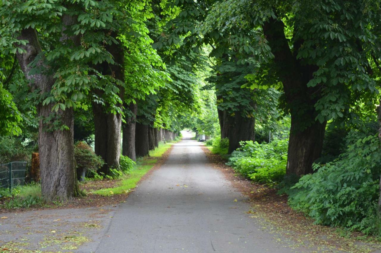 Wohnung Am Weserradweg Deesberg Esterno foto